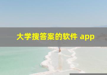 大学搜答案的软件 app